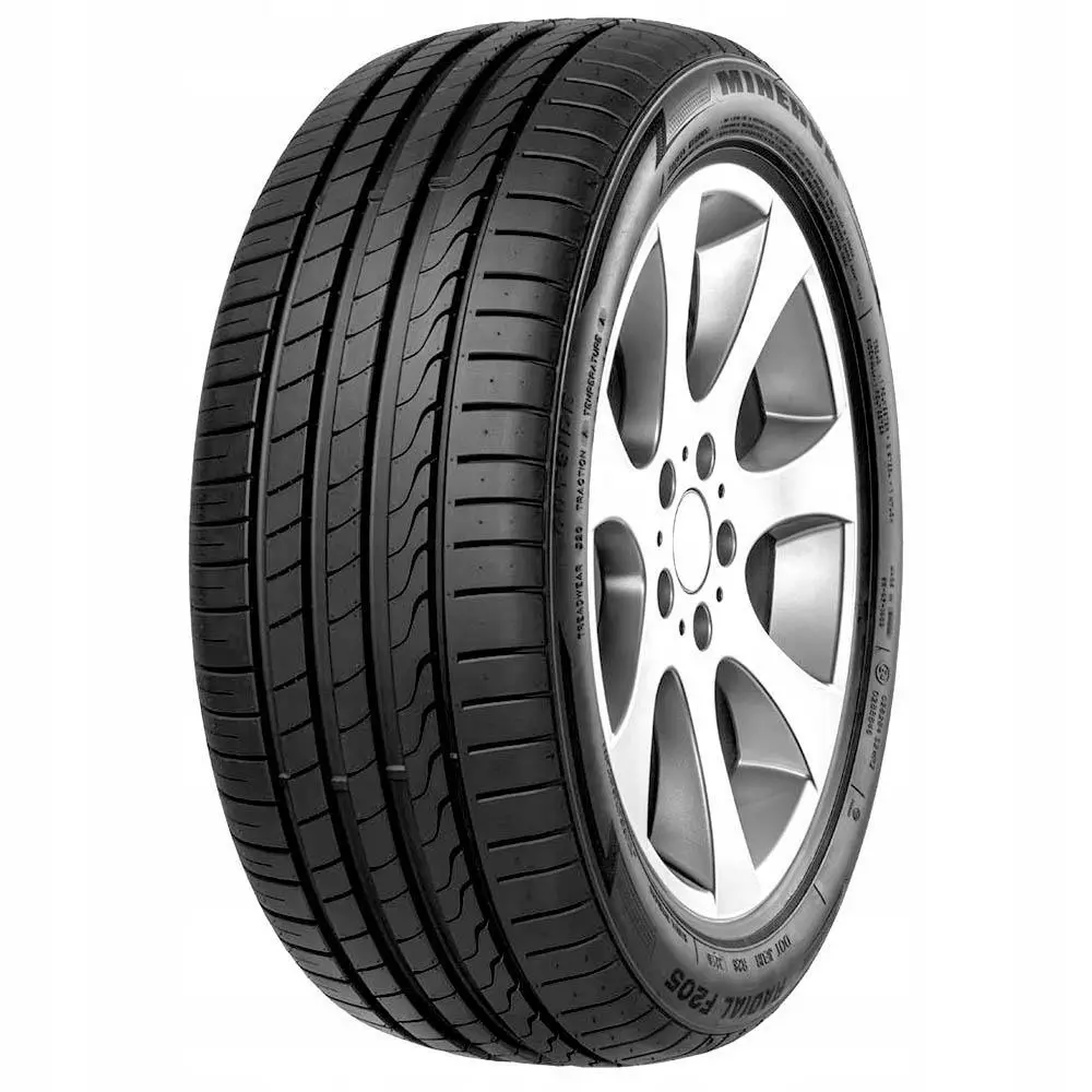 Minerva F205 245/45 R 19